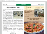 Budai J�gp�lya (Sz�na t�r) k�z�ns�gkorcsolya, megjelent a Budai Polg�r c�m� lapban